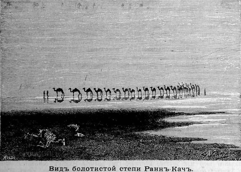 213 Вид болотистой степи Ранн-Кач